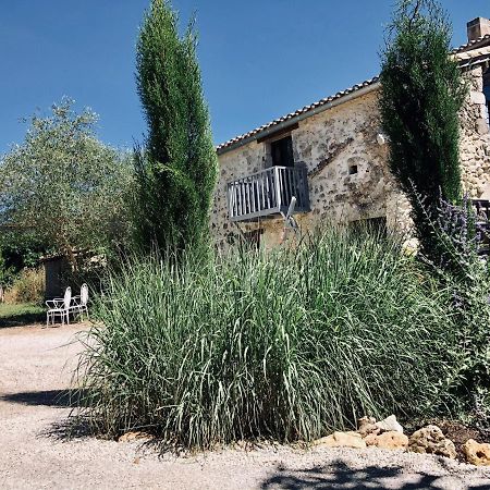 Le Gite De La Maison Des Chats - Gite En Quercy Saint-Amans-du-Pech Екстериор снимка