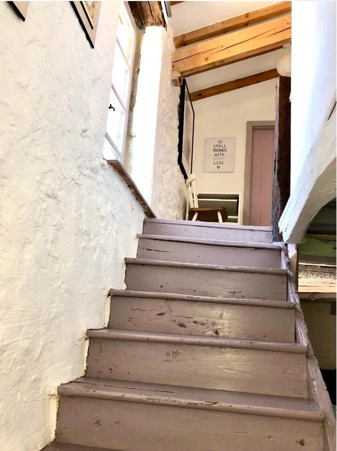 Le Gite De La Maison Des Chats - Gite En Quercy Saint-Amans-du-Pech Екстериор снимка