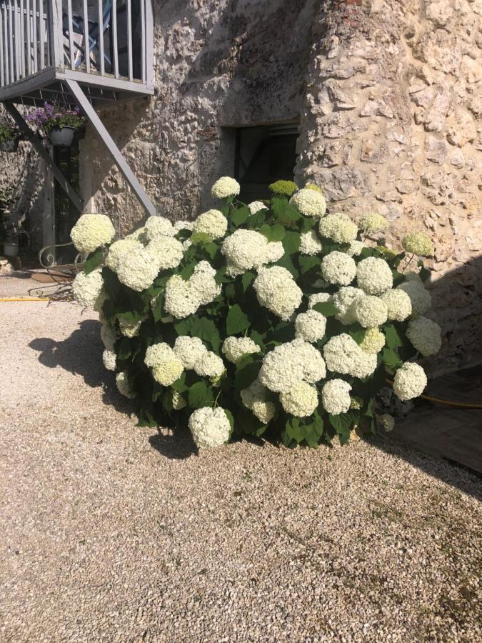 Le Gite De La Maison Des Chats - Gite En Quercy Saint-Amans-du-Pech Екстериор снимка