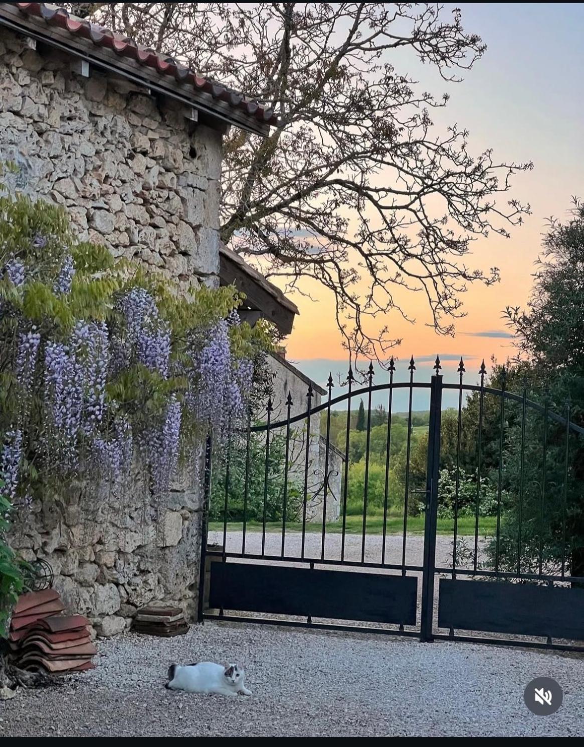 Le Gite De La Maison Des Chats - Gite En Quercy Saint-Amans-du-Pech Екстериор снимка
